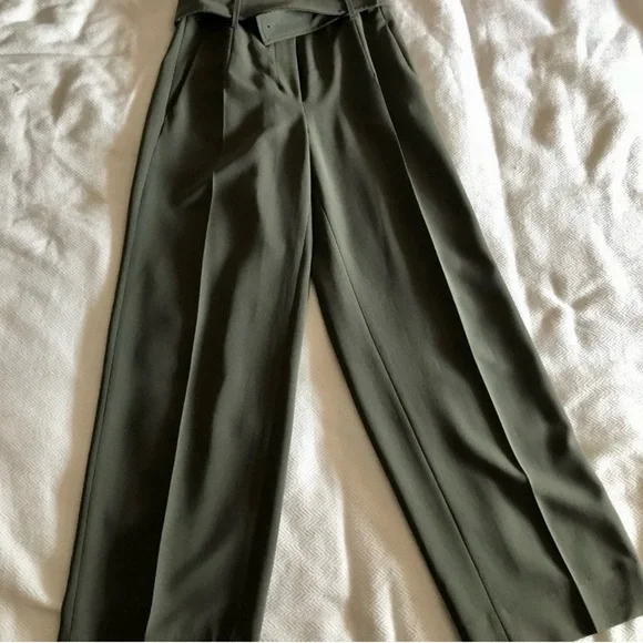 Aritzia Taupe High-Rise Belted Pants - Picture 8 of 12